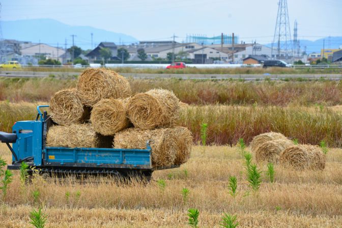 温度計とセンサーの進化と未来